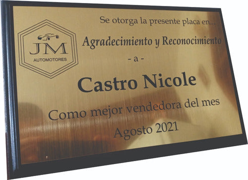 Placa: Premio/reconocimiento/profesion Similmetal 35x25cm 1