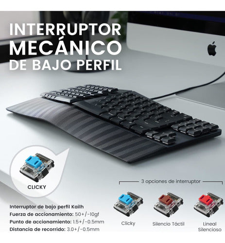 Teclado Ergonómico Usb Perixx 335 Multimedia Sp - Tecnoboxu 2