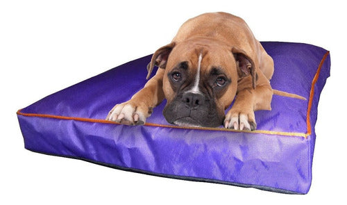 Nuestros Bartulos Anti-Tear Mattress 80x60x10 Cm for Dogs 0