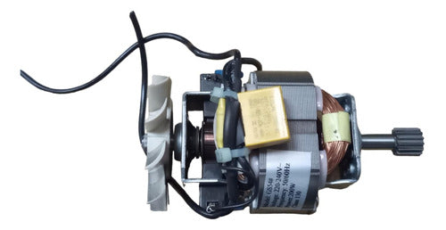 Motor Gs54# 220-240v 50/60hz 200w Rallador Atma Sm2016n 0