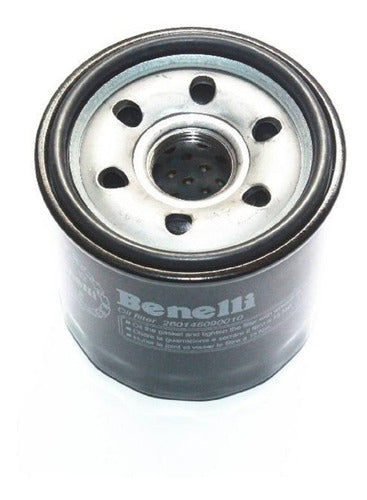 Filtro De Aceite Benelli Tnt 300- Tnt 600 Trk502 Original 0