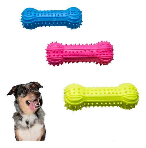 Shop Chew Bone for Pets with Squeaker and Textured Design in Various Fluorescent Colors 0