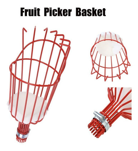 Fresh Fruit Selector Basket - Orange, Apple, Peach, etc. 1