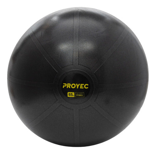 Proyec Swiss Gym Ball 65 cm + Fitness Gym Inflator 21