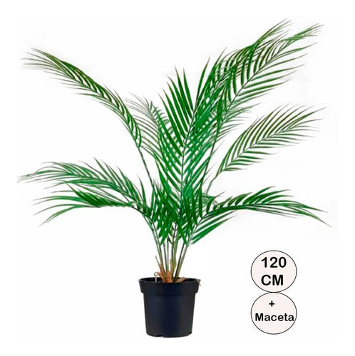 Out Artificial Plant 120 Cm Areca Palm + Pot 1