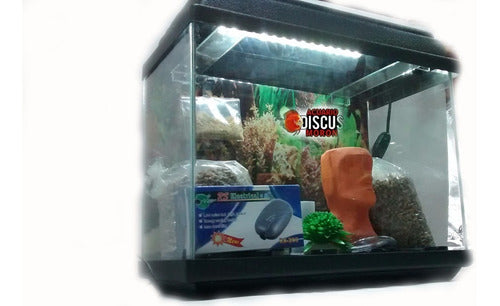 Kit Pecera 100x40x30 Acuario Premium Full Completo 1