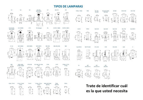 Lampara 12v 35w H8 Pgj19-1 7