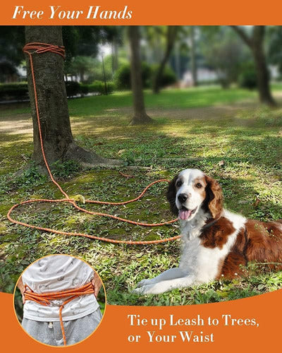 Lanwandeng Reflective Dog Leash, Sizes: 3m/4.8m/9.1m/15.2m/30.5m 5