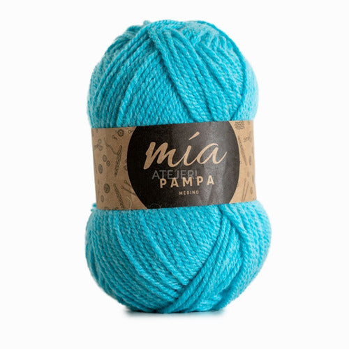 MIA Pampa Merino Semi-Thick Yarn Skein 100 Grams 3