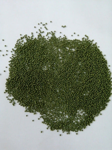 Espirulina Fish Food Imported 500 Grs + Free Shipping 4