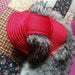 Marupet Round Edge Princess Dog Hat Visor Cap 3