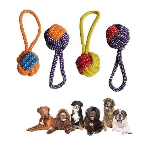 Oasis Set X2 Tug Toys with Bicolor Ball for Pets 2