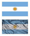 RDG - Bandera Argentina Vinilo Impreso 30 Cms 0