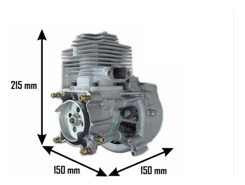 Motor Completo Nuevo Desmalezadora 52cc Sin Carb/esc 2