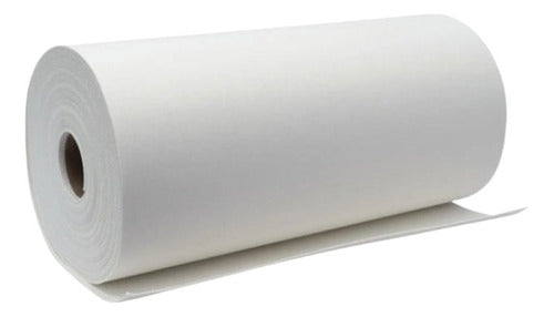 Tecnotech Ceramic Fiber Insulation Paper 1200ºC 2mm 61 Cm X 1 Mt 0