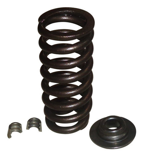 Kit Valve Springs Plate and Locks for Suran 0