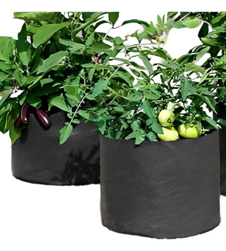 Polietileno Obelisco Grow Pot Fabric Planters Pack of 5 - 3 Gallons (11 Liters) 0