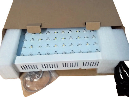 Polietileno Obelisco Led Indoor Grow Panel 600w Grow Club 0