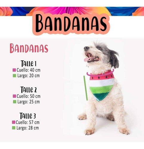 Bandanas Reversibles Mascotas 5