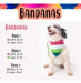 Bandanas Reversibles Mascotas 5