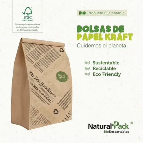 Natural Pack Delivery Bag Kraft No. 105 X100 U (27 X 35 X 16 Cms) 3