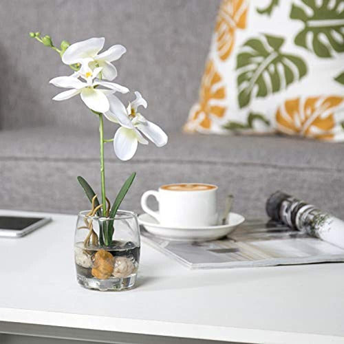 MyGift Mini Phalaenopsis Artificial Silk Orchid in Glass Vase - White 1