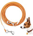 Generic Dog Tie Out Cable, 20/30/50/100 Feet 0