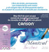 Canson Montval Torchon Watercolor Paper 12 Sheets 270 Gms 18x25 3