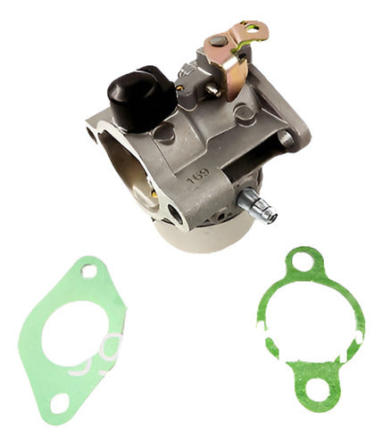 Kohler Carburetor Kit W/Gaskets - 12 169 853-S 0