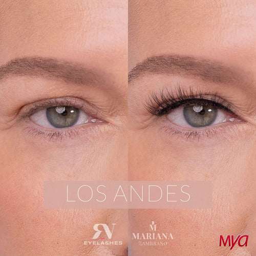 Mariana Zambrano Premium Edition Natural Strip False Lashes 3