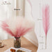 Varas De Pampas Grass/ Plumon Artificiales 60u Rosa Crema 4