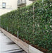 DecoJardin Hiedras X 2 Unidades 1.30 M. 1