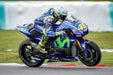 Valentino Rossi Piloto Motociclismo Motos - Lámina 45x30 Cm. 1