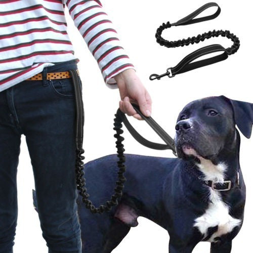 Everest Reflective Dog Leash 1.3 Mts Various Colors 1