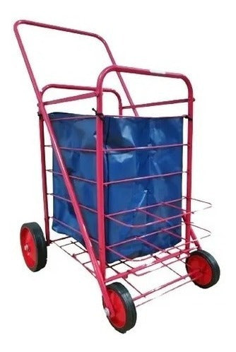 Canadian Style Shopping Cart 4-Wheel Trolley from Argentina 10