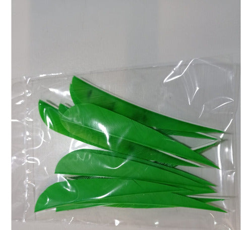 Gateway 4-Inch Parabolic Feathers for Archery 0