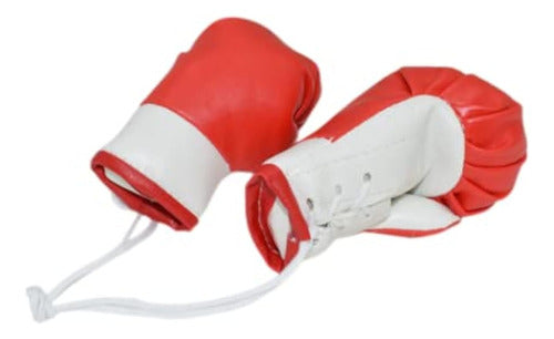 Mini Guantes De Boxeo En Miniatura, Accesorios De 0