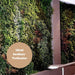 Only Woman Ramo Hoja Artificial Jardin Vertical Plantas Decorativas 3