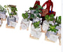 10 Plaster Plant Pots with Succulents and Nordic Stand - Events 3