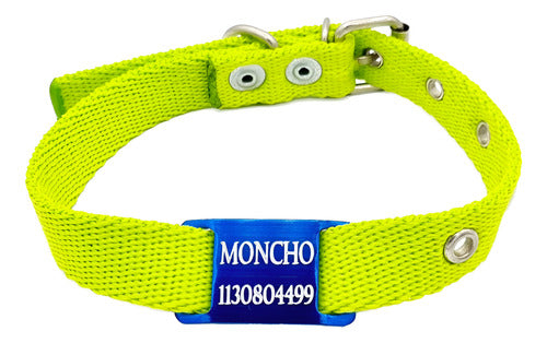 MEDALLAS PARA PERROS Chapitas Perros Pasador Azul + Collar De 2cm Verde Manzana 1