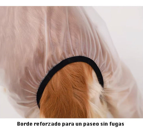 Capa Chuva Transparente Para Cães Grandes Com Capuz Yc 7