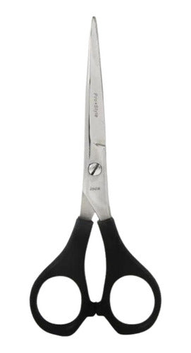 ProBasic Hair Cutting Scissors + EuroStil Tail Comb + LucyDan Professional Thinning Comb 1