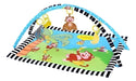 Ametoys Baby Playing Play Mat Cushioned Blanket L 0