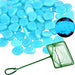 Atpwonz 100 Pieces of Rocks for Fish Tanks That Glow in Blue 0