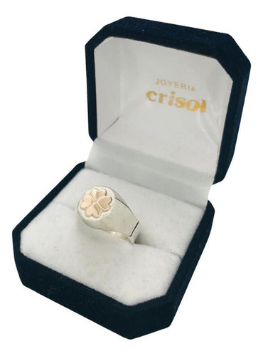 Crisol Anillo Nutricionista Plata Y Logo En Oro 1