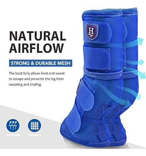 Harrison Howard Horse Fly Boots 1