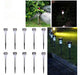 10pcs Stainless Steel LED Solar Garden Lights 1