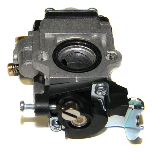 Procompany Replacement Carburetor for Walbro WYK-192-1 2