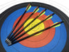 Fiberglass Crossbow Darts Arrows 20 Units C 0