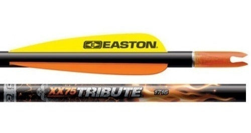 Easton Tribute 1716 Complete Archery Pack of 3 Units 0